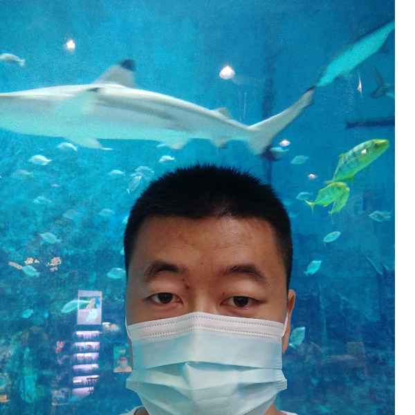 河北34岁单身帅哥真诚找对象-乌海征婚相亲网