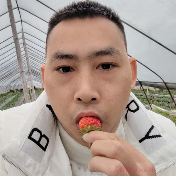 乌海征婚相亲网