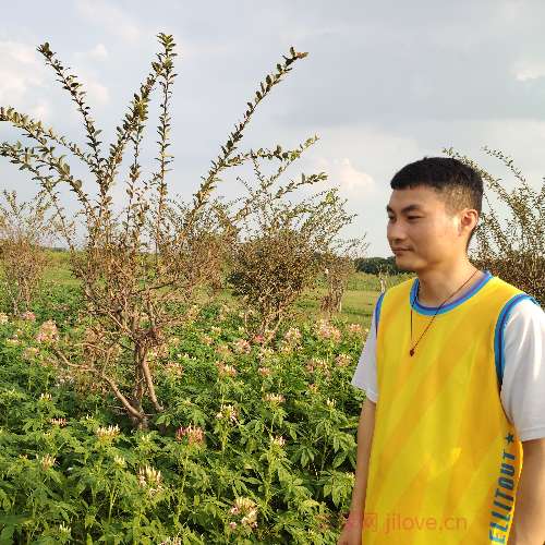37岁岁广东单身帅哥 - 乌海吉缘网